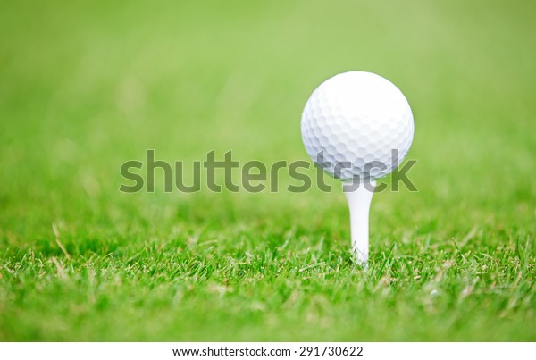 Golf Ball On Green Lawn Closeup Stock Photo (Edit Now) 291730622