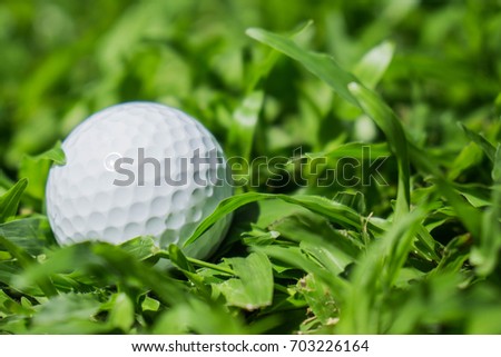 The golf ball on the rough.