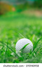 367 Golf ball going into hole Images, Stock Photos & Vectors | Shutterstock