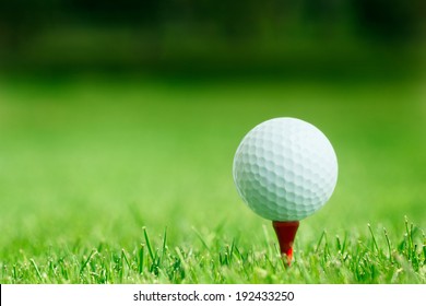 Golf Ball On Tee 