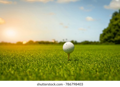 Golf Ball On Tee In Green Grass At Golf Course.