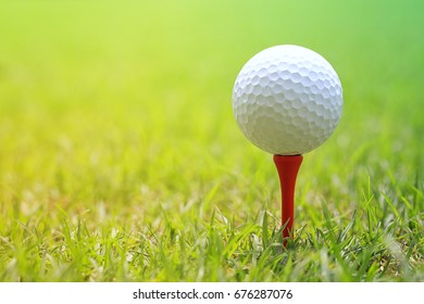 Golf Ball On Wooden Golf Tee To Embroider On The Green Lawn Prepare For Hit.