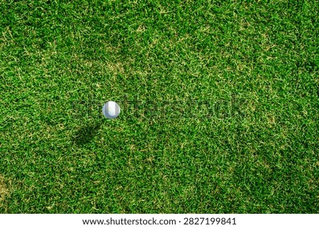 Golf Ball Positioned on a Tee, All Set for a Shot in a Beautiful Lush Green Field