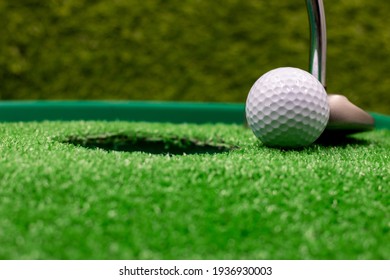Golf ball and putter is on green grass next to golf hole
