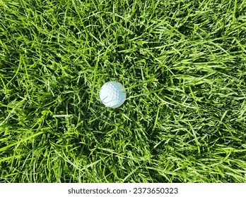 Golf ball in the rough