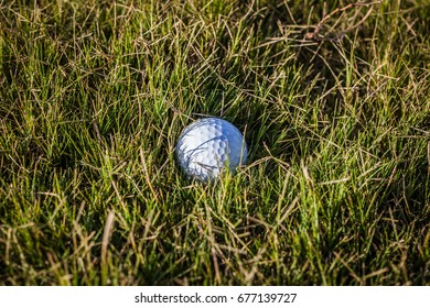 Golf Ball In The Rough Grass On A Golf Course