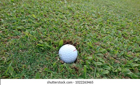 Golf Ball Stuck In The Fairway 