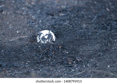 Golf Ball Stuck In The Mud