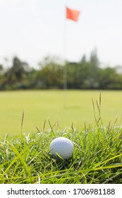 Golf Ball Stuck On The Grass