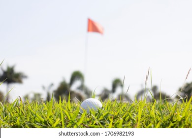 Golf Ball Stuck On The Grass