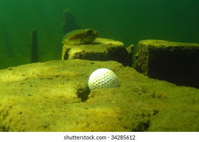 Golf Ball In A Water Hazard.