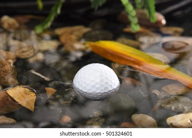 Golf Ball In Water Hazard