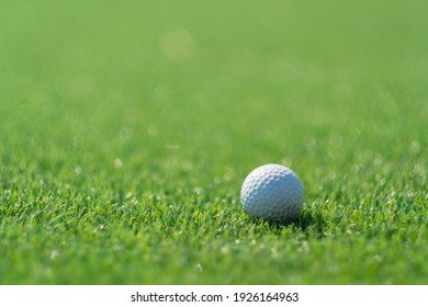 Golf Balls On Artificial Grass With Blur Background