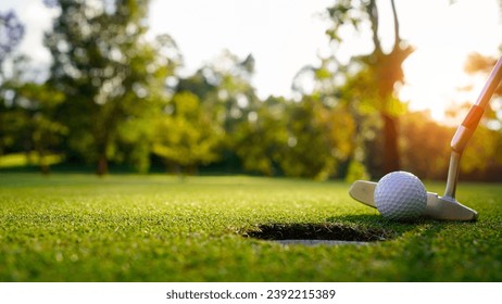 Golf balls that are going to be hole by golfers at the green grass golf course at sunset. Golfers are putting golf in the evening golf course, on sun set evening time.                                 - Powered by Shutterstock