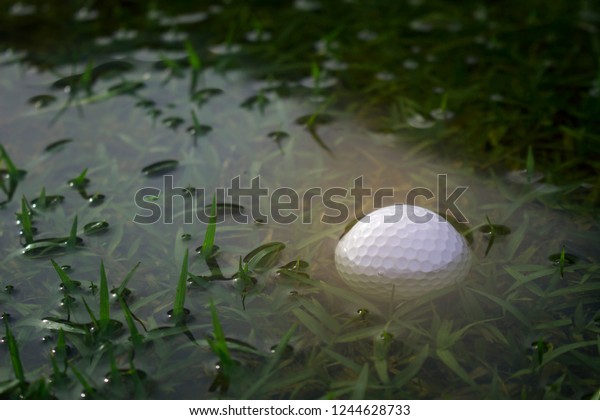 Golf\
balls in the water after rain at the golf course, a major problem\
of golf in the rainy season.Golfers are\
worried.