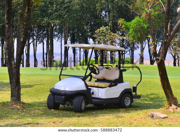 Golf car on green\
grass