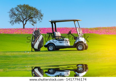 A Golf cart and golf clubs bag with shadow reflection on green grass beautiful Cosmos flowers field  and big tree with blue sky back ground