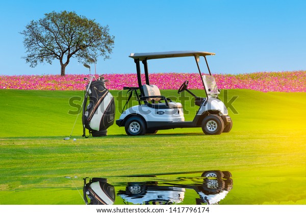 A Golf cart and golf clubs bag with shadow\
reflection on green grass beautiful Cosmos flowers field  and big\
tree with blue sky back\
ground