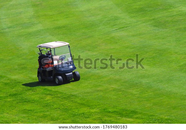 Golf cart with golf\
clubs on a green field