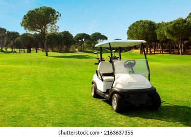 Golf cart in fairway of golf course with green grass field with blue sky and trees