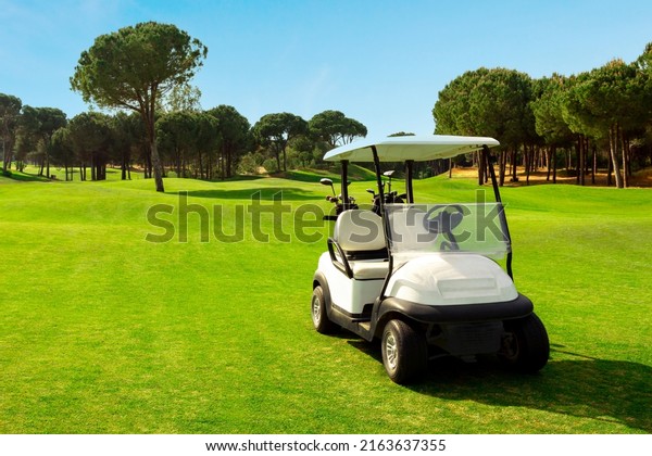 Golf cart in fairway of golf course with green\
grass field with blue sky and\
trees