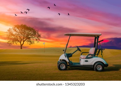 A Golf Cart Parking On Green Grass At Golf Course With Big Tree , Big Bird Crown And Twilight Sky Background 