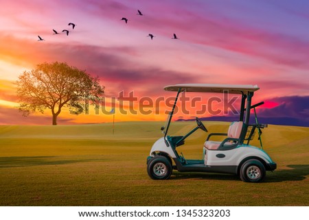 A Golf cart parking on green grass at golf course with big tree , big bird crown and twilight sky background 