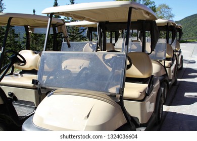 Golf Carts Lined Up