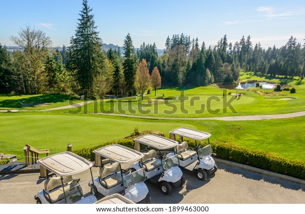 Golf carts on a golf\
course.