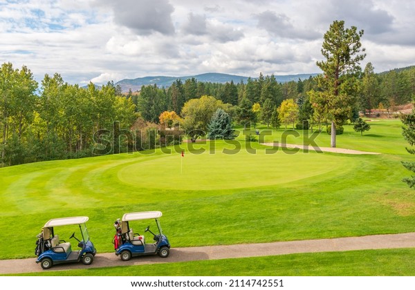 Golf carts on a golf\
course