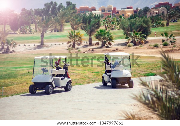 Golf carts on the grass sport field. Sport and\
lifestyle concept