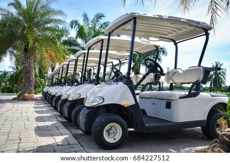 Golf carts and palm tree on blue.