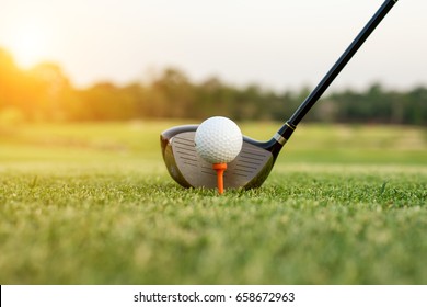 Golf club and ball in grass with sunlight. Close up at golf club and golf ball.