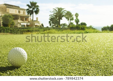 Golf club and golf ball in grass in sunrise.