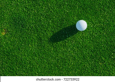 Golf club and ball on the green course. Close up. Top view. Sport, relax, recreation and leisure concept.