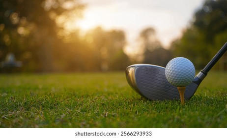 Golf clubs and golf balls on a green lawn in a beautiful golf course with morning sunshine. Close up of golf equipment on green                                 