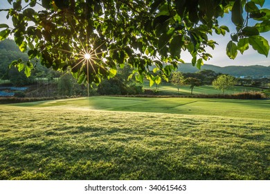 golf course