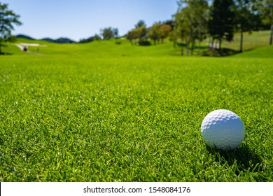 Golf Course With Golf Ball. Golf Course With A Rich Green Turf Beautiful Scenery.