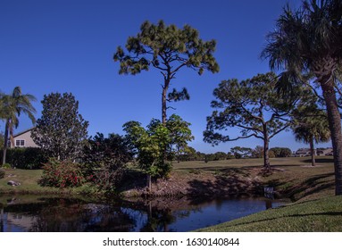 Golf Course Community In Florida, Next To Homes