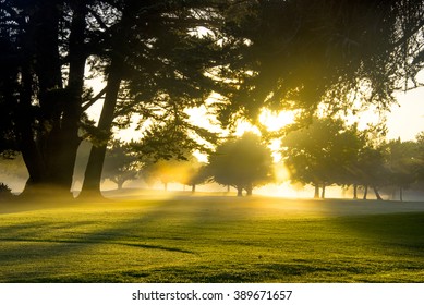 Golf course at dawn. 