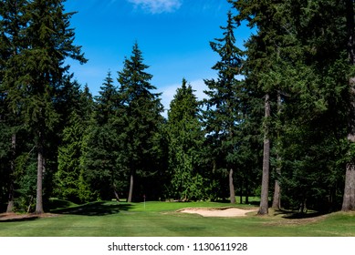 Golf Course Fairway Lined With Tall Trees, Hole And Green Protected By A Sand Trap, Blue Sky With White Clouds
