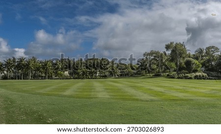Golf course. A flat surface with trimmed green grass. Tropical vegetation, palm trees in the distance. Blue sky, clouds.