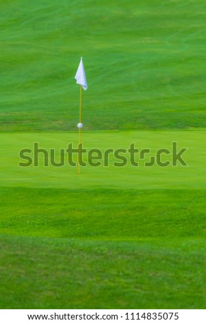 Golf Course, golf green with flag in the hole, white flag