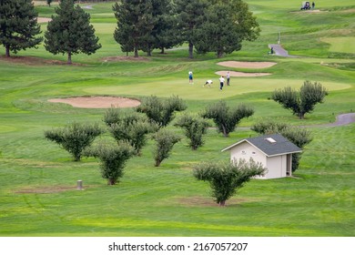 Golf Course In Kelowna, BC, Canada