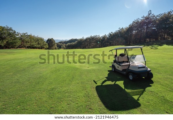 Golf course landscape with a cart\
on the shore, green grass hills and trees compose the\
image