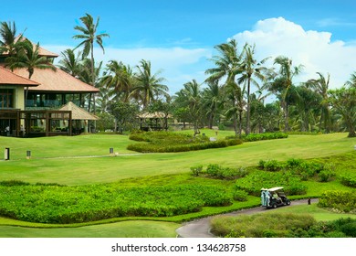 Golf course in luxury resort. Golf green field on the background of the sea and beautiful palm tree over blue sky with white clouds view