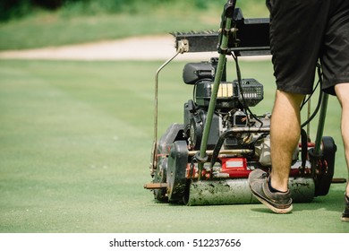 Golf Course Maintenance Equipment, Greens Mower