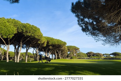 Golf course on a sunny day.