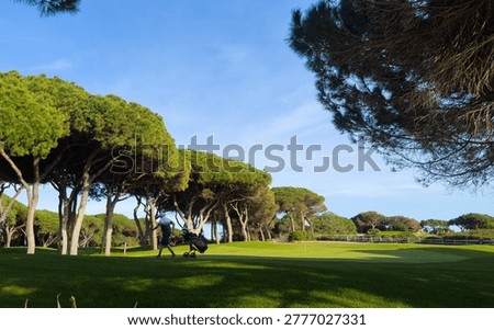 Golf course on a sunny day.
