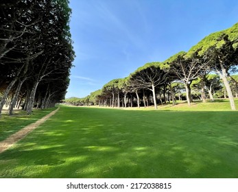 Golf Course Pals In Spain Region Of Catalonia 